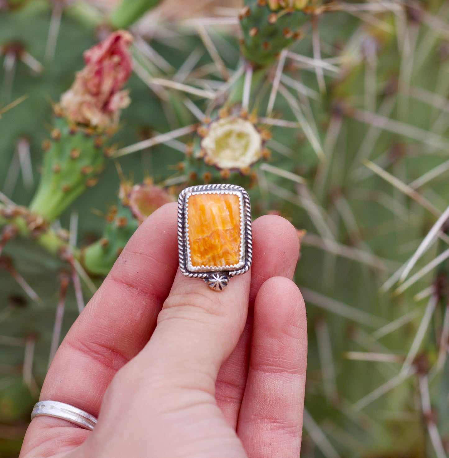 “The Clara”Ring Sz:6